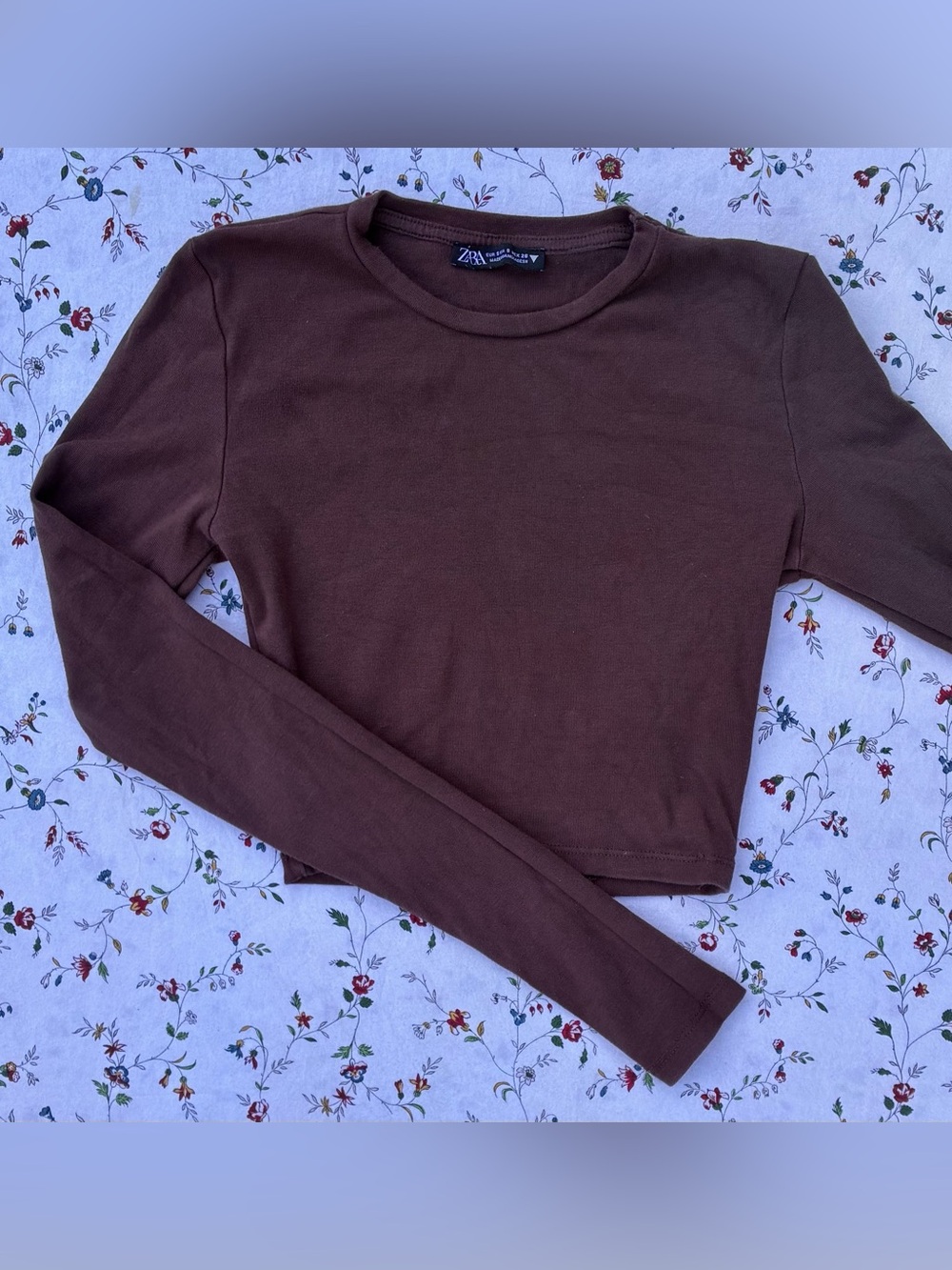 Zara Chocolate Brown Long-Sleeve Cropped Crew Tee